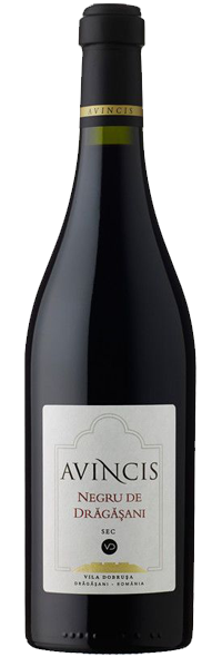 NEGRU DE DRAGASANI 2018 MAGNUM